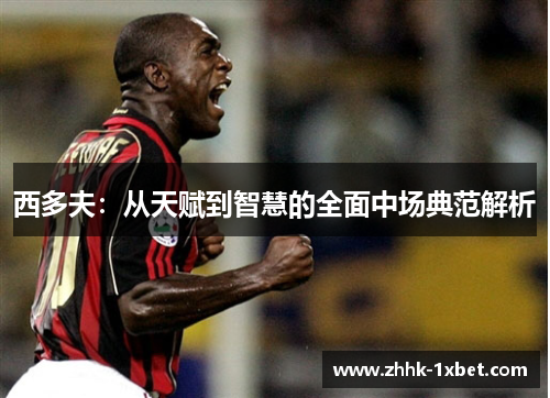 西多夫：从天赋到智慧的全面中场典范解析