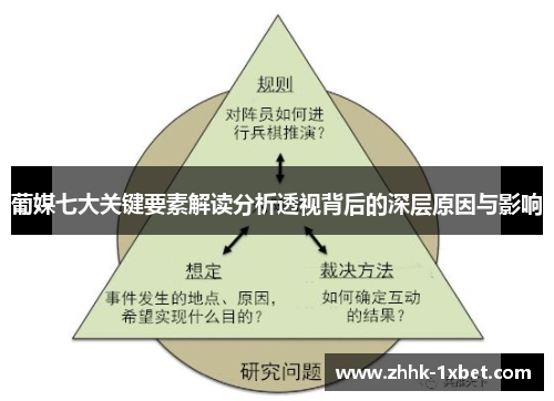 葡媒七大关键要素解读分析透视背后的深层原因与影响